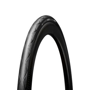 BLACKBIRD ALL SEASON