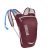 BURGUNDY-SILVER
